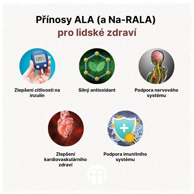 Přínosy ALA (a Na-RALA) pro lidské zdraví